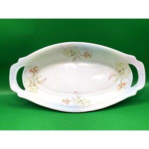 P.S.A.A. Bavaria Porzellanfabrik Schonwald Antique Oval Floral Relish Dish 1920s